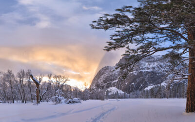 Yosemite Sunset